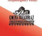 100. Rocznica Odzyskania przez Polskę Niepodległości - kalendarium obchodów w Gminie Biłgoraj