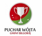 Zgłoszenie udziału w Turnieju Piłki Nożnej "o Puchar Wójta Gminy Biłgoraj" w Gromadzie 